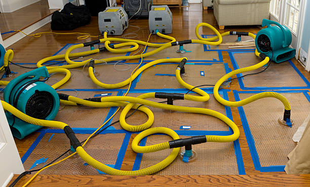 Professional Crawl Space Water Removal technician working in Blount, WV